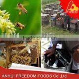 Pure Wild Osmanthus Honey in Small Bottle thumbnail-3