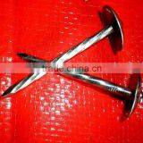 Kenya Market Best Quanlity Roofing Nails thumbnail-6