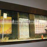 Front Printing Backlit Film