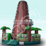 Rocky Mountain Climbing Game Inflatable/Inflatable Climber thumbnail-1