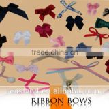 Good Quanlity Bra Ribbon Bow (BRB001)