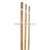Bamboo Stake - Tonkin Bamboo Cane thumbnail-1