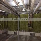 Tianjin Qianna Agricultural Products Ind. & Trading Co., Ltd. company overview - view 3 thumbnail
