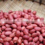 Red Skin Peanut Kernels With Good Quality for Sale thumbnail-3