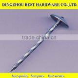 GI Roofing Nail Galvanized Roofing Nail thumbnail-1