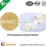 Gelatin for Tablets/Pharmaceutical Gelatin,Chemical Auxiliary Agent