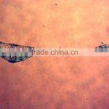 17pcs Indonesia School Students Studing Prepared Microscope Slides