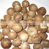 Specifications of Vietnam Whole Betel Nut