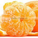Citrus Fresh Mandarin Orange With Sour Taste and Moisture Rich thumbnail-2