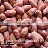 Blanched Red Skin Peanut Kernels 61/71 41/51 25/29