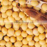 Hot Sales Soybean Extract 90% Lecithin thumbnail-2