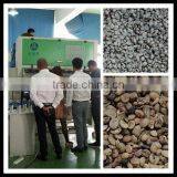 Belt Type Coffee Bean Color Sorter Machine With Computer System 0086 371 65866393