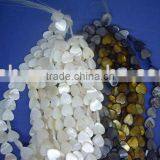 Dyed Natural White Nacre Shell Beads Strands