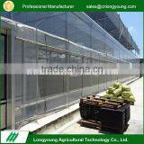 2017 Hot sell hot galvanized anti-dew vegetable greenhouse plastic