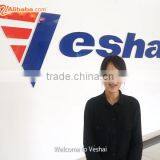Zhaoqing Veshai Handling Equipment Co., Ltd. company overview - view 1 thumbnail