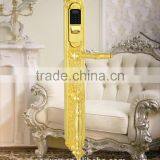 Luxury Style Special Design Intelligent Door Lock thumbnail-1