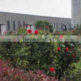 Pyrolysis Oil Distillation Plant 10 Ton Capacity Getting Diesel Oil thumbnail-6