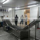Automatic Frozen Fishball/Chicken Nuggets/Dumpling(Colonels Crispy Strips, Mcnugget, Chick Strip) Processing Line thumbnail-4