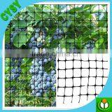 BOP Strech Net/anti Bird Net/PP Net Used for Agricultural, Popular Anti Bird Net Nylon or PE or PP thumbnail-5