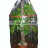 70micorn Thickness PE Plastic Tomato Plant Cover for Agricultural Use thumbnail-4