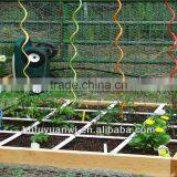 Competitive Flower Plant Support