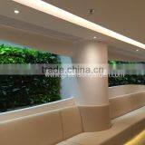 2016 High Quality Vertical Garden Green Wall Module Artificial Hanging Wall for Plants Synthetic Grass Moss Turf Indoor Decor thumbnail-3