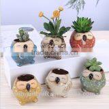 Succulent Color Owl Ceramic Mini Indoor Plants Pots thumbnail-1