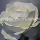 Hot Sale Brand Name Decorative Artificial Flowers Silk Single Rose thumbnail-2