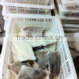 John Dory Fillet ( Zeus Faber ) 100-150 150-200 200-300 thumbnail-1