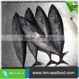 Hot Selling Fat Content 16%-18% Wholesale Price For Frozen Fish Bonito thumbnail-3