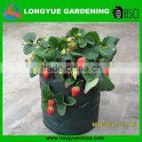 Hot Selling Round Folding Strawberry Planter Bag thumbnail-2