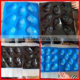 2014 Hot Selling OEM Available Food Grade Thermoformed PP Plastic Trays for Apple thumbnail-6