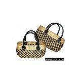 Water Hyacinth thumbnail-1