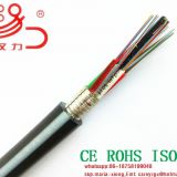 Fiber Optic Cable/Computer Cable/ Data Cable/ Communication Cable/ Connector/ Audio Cable