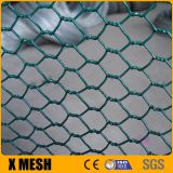 galvanized hexagonal wire mesh for Poultry or Rabbit