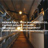 Cyprus Brooding Chicks in Room for Chicken Supplies With Baby Chicken Cage & Chicks Coop