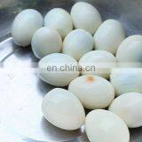 Full Automatic High Efficiency Electric Hen Egg Shelling Machine thumbnail-3