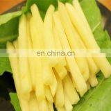 Excellent Quality Full Automatic Potato Chips Production Line/fresh Potato Chips Making Machine/frozen French Fries Maker thumbnail-4