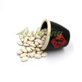 Large White Kidney Beans thumbnail-2