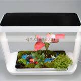 Full Spectrum White Light Grow Lights 4000K/6000K Grow Lamp For Indoor Plants thumbnail-3