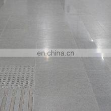 Natural Polishing Chinese Granite G603 Light Grey Granite for Floor thumbnail-5