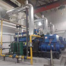 Hot Sale Wood Gas Biogas Natural Gas Power Generator Plant thumbnail-3