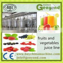 Passion Fruit Juice Machine/natural Fruit Juice Production Line thumbnail-5