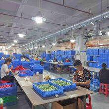 Qimeng Toy Factory company overview - view 2 thumbnail