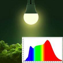 3W E26 E27 Bright 4000K Natural Sunlight Full Spectrum Light Bulb for Indoor Plants, Flowers, Greenhouse thumbnail-3