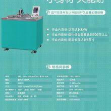 Centrifugal Casting Machine for Platinum thumbnail-4