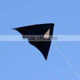 2.6m Delta Kite