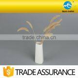 Plain Fine China Ceramic Vase thumbnail-1