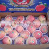 Fuji Apple thumbnail-1