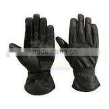 Horse Ridding Gloves